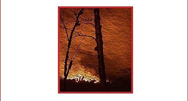 Enerji nakil hatları da var - AFAD genelge yayınladı!