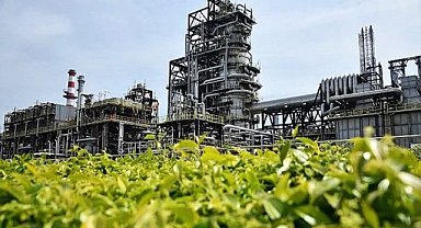 Turkish oil refinery company Tüpraş - will produce sustainable aviation fuel.