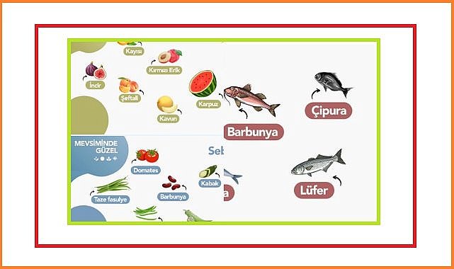 Aksa Doğalgaz hazırladı - Ağustos ayında hangi &#039;meyve-sebze ve balık&#039; yenir?