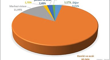 Doğal gazı en çok nerede kullanıyoruz?