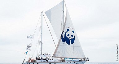 Doğal Hayatı Koruma Vakfı (WWF Türkiye) - ‘İnsanın ve plastiğin denizlere etkisi’ sergisini ziyaret edin!