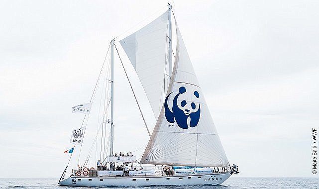 Doğal Hayatı Koruma Vakfı (WWF Türkiye) - ‘İnsanın ve plastiğin denizlere etkisi’ sergisini ziyaret edin!