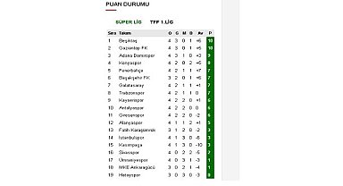 Enerji çalışanları: Süper Lig ve TFF 1. Lig puan durumunu web sitemizden takip edebilirsiniz!