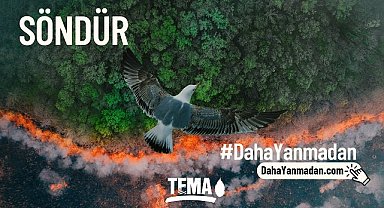 TEMA Vakfı - Orman Yangınlarını Önlemek Söndürmekten Daha Kolay!