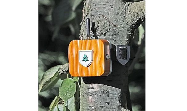 Enerjisa Enerji - Kurumsal Sosyal Sorumlulukta Mükemmellik alanında 3 Uluslararası Ödül!