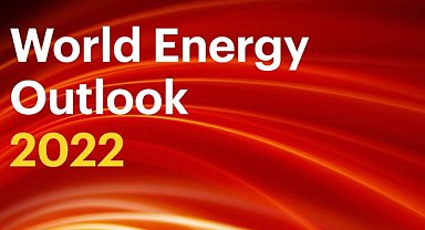 Dünya Enerji Görünümü Raporu 2022