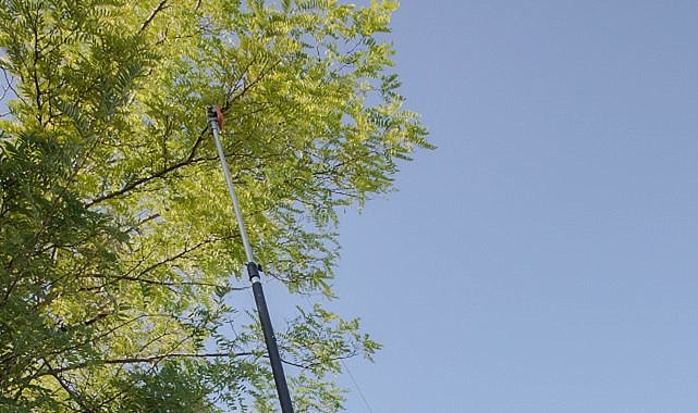 Fırat EDAŞ - Elektrik hattına müdahale etmeyiz - Çünkü...