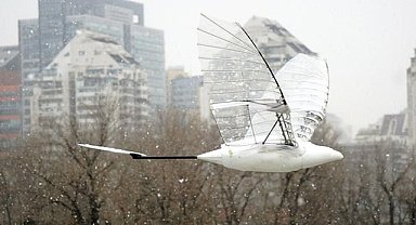 İGDAŞ - Politeknik Üniversitesi, kanatlarını çırparak uçan hava aracı geliştirdi!