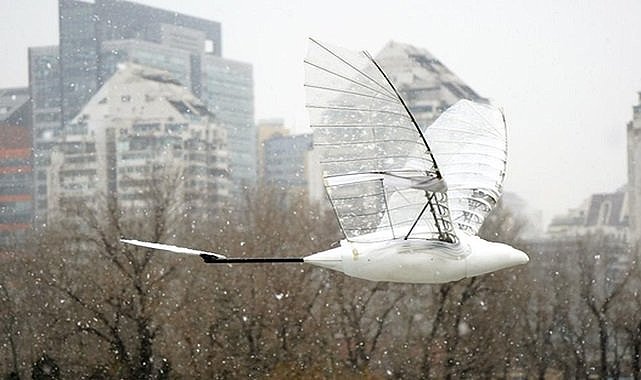 İGDAŞ - Politeknik Üniversitesi, kanatlarını çırparak uçan hava aracı geliştirdi!