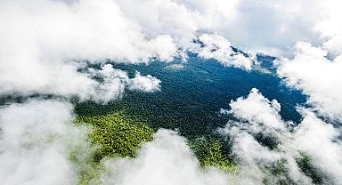 2023 için dört Sürdürülebilirlik trendi - PETRONAS!