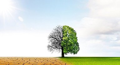 COP27 İklim Zirvesi - "Gelişmiş Ülkeler Kayıp Ve Zarar Fonunun Kurulmasına Yanaşmıyor"