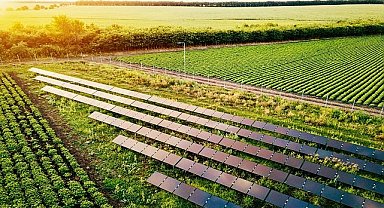 Sürdürülebilirlik ve İklim Lideri Wilo - Ege Orman Vakfı’ndan Gold Standart VER Sertifikası!