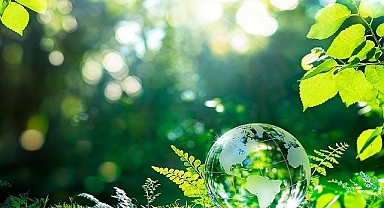 Elektrik dağıtım şirketi OEDAŞ - İklim Değişikliği programında B" derecelendirme notunu aldı!