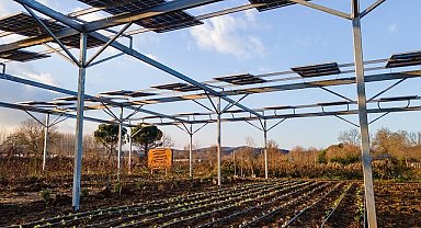 Enerjisa Üretim ve Komşuköy işbirliği - GÜNEŞ enerjisiyle elektrik üretimi ve tarım' projesi başlıyor!