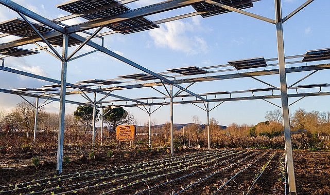 Enerjisa Üretim ve Komşuköy işbirliği - GÜNEŞ enerjisiyle elektrik üretimi ve tarım&#039; projesi başlıyor!