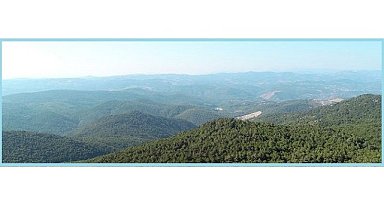 TEMA Vakfı - Kaz Dağları ile ilgili önemli Mahkeme Kararı!