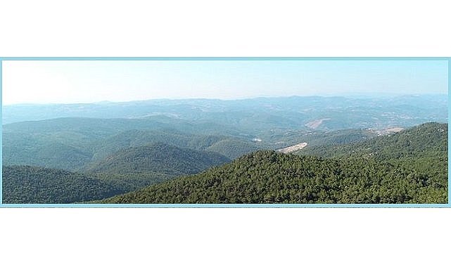 TEMA Vakfı - Kaz Dağları ile ilgili önemli Mahkeme Kararı!