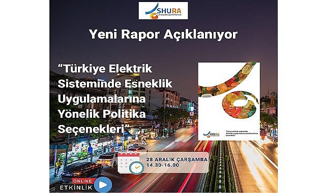 Webinar - Konu &#039;&#039;Türkiye Elektrik Sistemi&#039;&#039;
