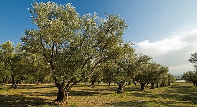 2022 yılının ÇEVRE olayları - TEMA Vakfı hazırladı!
