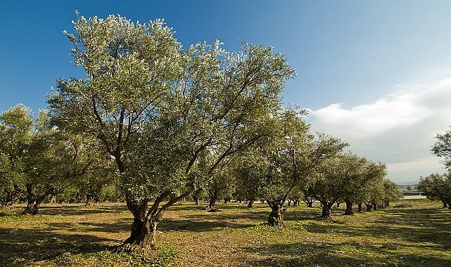 2022 yılının ÇEVRE olayları - TEMA Vakfı hazırladı!