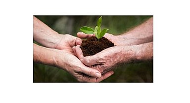 874 hanenin 1 aylık ELEKTRİĞİ üretildi - 'ORGANİK Atıkları' Elektriğe Dönüştürme Projesi' ile!