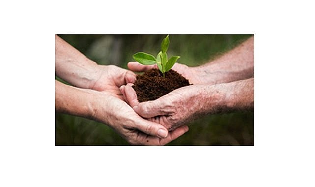 874 hanenin 1 aylık ELEKTRİĞİ üretildi - &#039;ORGANİK Atıkları&#039; Elektriğe Dönüştürme Projesi&#039; ile!