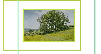 MAPFRE Grup - ''Enerji dönüşüm planı olmayan fosil yakıt şirketlerine yatırım yapılmaması...''