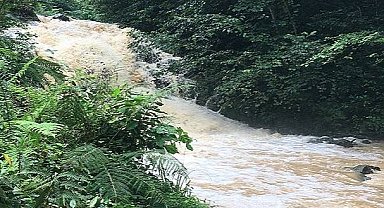 YAYINLANDI - 'Elektrik Piyasasında Su Kullanım Hakkı'