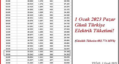 Yeni yılın ilk GÜNÜ ne kadar ELEKTRİK tükettik?