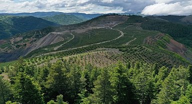 Maden sahalarının rehabilitasyonu için TÜBİTAK ile Ar-Ge projesi geliştirdi!