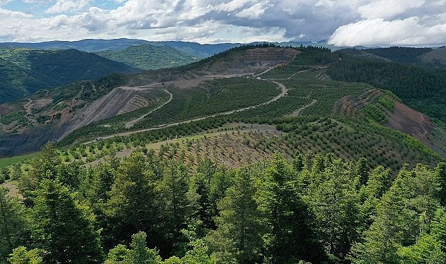 Maden sahalarının rehabilitasyonu için TÜBİTAK ile Ar-Ge projesi geliştirdi!