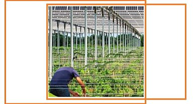 Tarımsal GES'lere ihtiyaç var - Türkiye’nin İlk Tarım - Güneş Enerji Santralleri Raporunu Açıkladı!