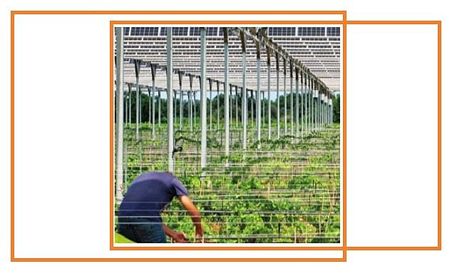 Tarımsal GES&#039;lere ihtiyaç var - Türkiye’nin İlk Tarım - Güneş Enerji Santralleri Raporunu Açıkladı!