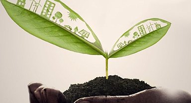 Yeşil Dönüşüm Eğitimi - Çevrimiçi!