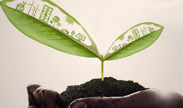 Yeşil Dönüşüm Eğitimi - Çevrimiçi!