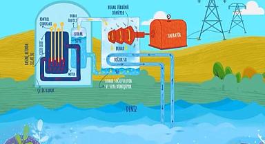 Nükleer santral nasıl elektrik üretir? VİDEO'lu anlatım!