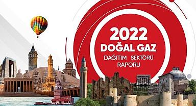 YAYINLANDI - Konu ''Doğal Gaz Sektör Raporu 2022''