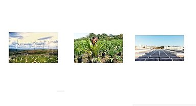 Yenilenebilir kaynaklardan satın aldığı elektriğin payını yüzde 70'e çıkardı - HENKEL!