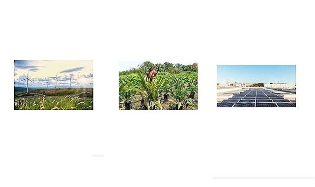 Yenilenebilir kaynaklardan satın aldığı elektriğin payını yüzde 70&#039;e çıkardı - HENKEL!