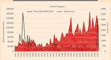 1937'den bu yana ''Türkiye'de yanan orman alanları ve orman yangın sayısı'' - TÜSİAD raporu!
