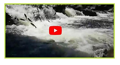 Burası neresi biliyor musunuz? - Van...