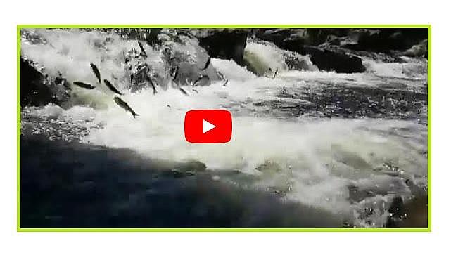 Burası neresi biliyor musunuz? - Van...