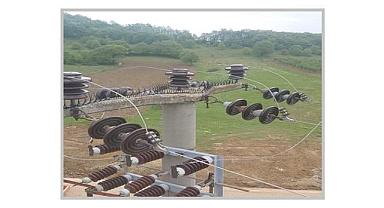 SEDAŞ - Leyleklerin güvenli göç yolculuğu için önlemlerini aldı!