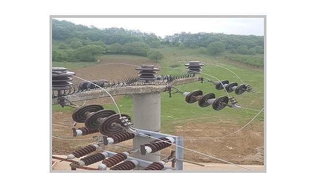 SEDAŞ - Leyleklerin güvenli göç yolculuğu için önlemlerini aldı!