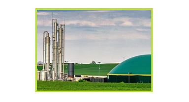 Biyokütle ENERJİ nedir? - Biyokütle kaynaklarından üretilen yakıt türleri nelerdir?