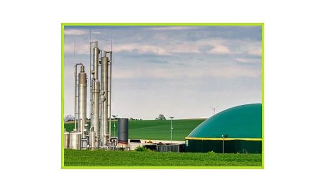 Biyokütle ENERJİ nedir? - Biyokütle kaynaklarından üretilen yakıt türleri nelerdir?