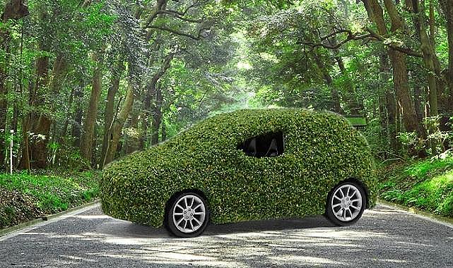 Daikin - &#039;&#039;1 milyon ağaç hedefi...&#039;