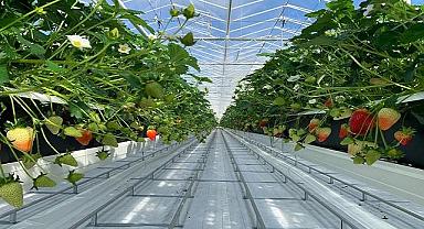 Dyson - ''Tesislerine mümkün olduğunca yenilenebilir ve temiz enerji sağlamak için...''