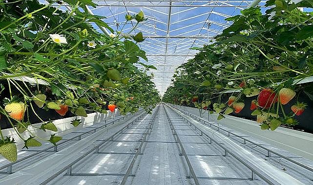 Dyson - &#039;&#039;Tesislerine mümkün olduğunca yenilenebilir ve temiz enerji sağlamak için...&#039;&#039;