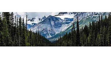 Enerji Dönüşümü Araştırması - ''Yöneticiler yatırıma sıcak bakarken tüketiciler temkinli!